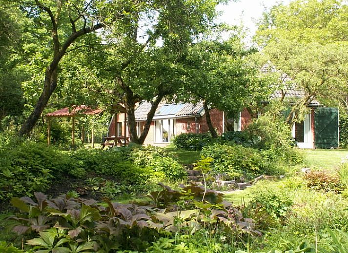 Guest house 180106 - Holiday property Noord Drenthe - Huisje in Peize