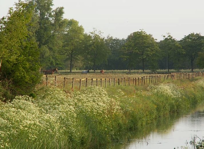 Guest house 180106 - Holiday property Noord Drenthe - Huisje in Peize