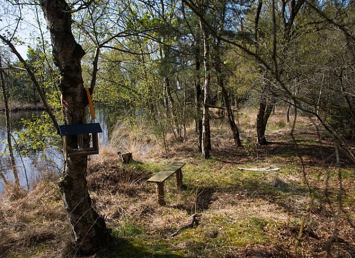Verblijf 180202 - Vakantiewoning Noord Drenthe - Huisje in Een