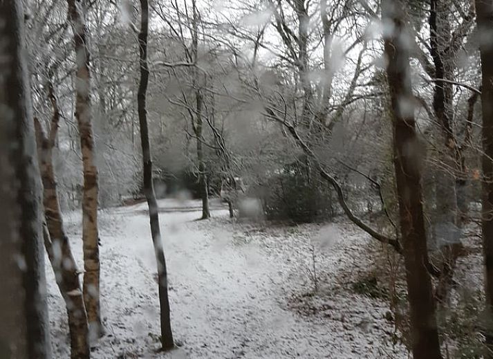 Verblijf 180202 - Vakantiewoning Noord Drenthe - Huisje in Een