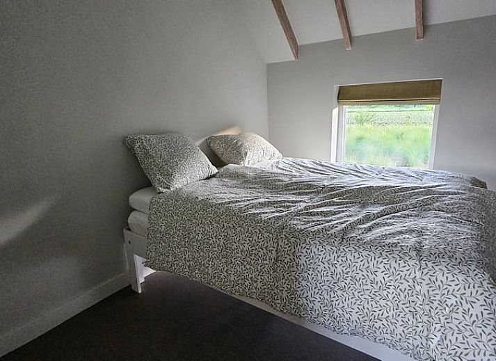 Guest house 180208 - Holiday property Noord Drenthe - Huisje in Een