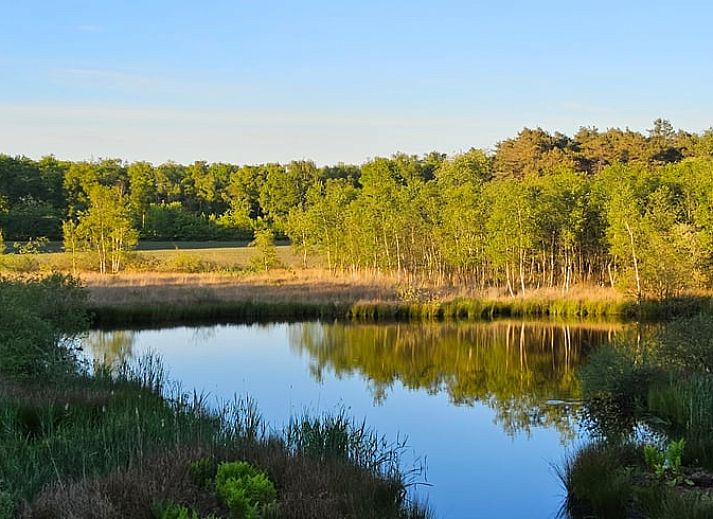 Guest house 180208 - Holiday property Noord Drenthe - Huisje in Een