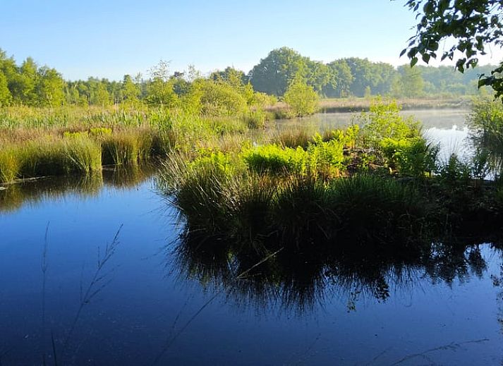 Guest house 180208 - Holiday property Noord Drenthe - Huisje in Een