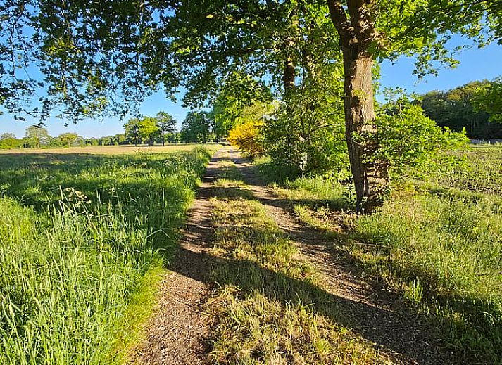 Guest house 180208 - Holiday property Noord Drenthe - Huisje in Een