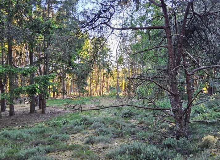 Guest house 180208 - Holiday property Noord Drenthe - Huisje in Een