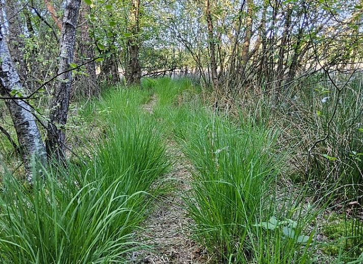 Guest house 180208 - Holiday property Noord Drenthe - Huisje in Een