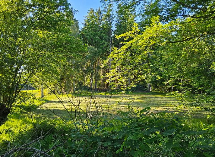 Guest house 180208 - Holiday property Noord Drenthe - Huisje in Een