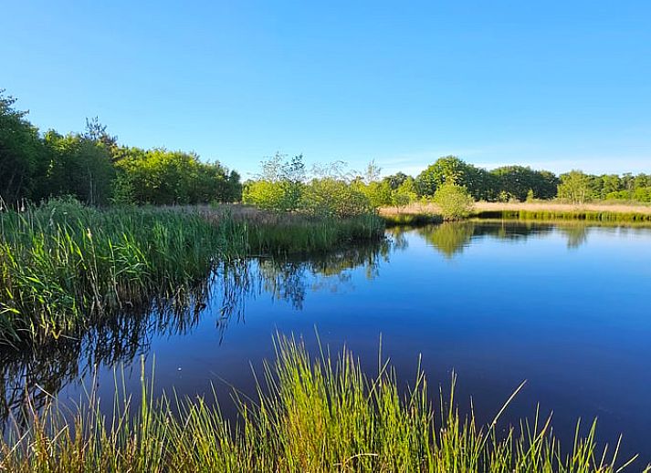 Guest house 180208 - Holiday property Noord Drenthe - Huisje in Een