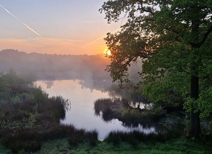 Guest house 180208 - Holiday property Noord Drenthe - Huisje in Een