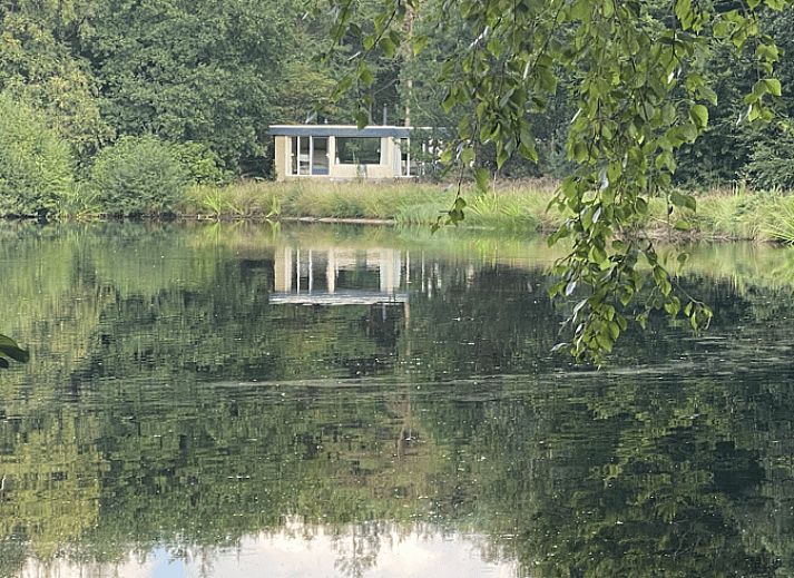 Huisje in Een, Noord Drenthe vakantiehuis met bloeiende heide op de voorgrond.
