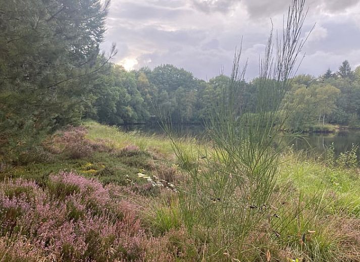 Prachtig meer omgeven door groen bij Huisje in Een, Noord Drenthe.