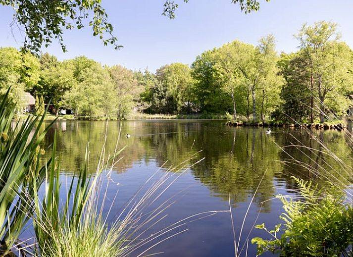 Vakantiehuis in Een, Noord Drenthe, omgeven door groene natuur en rust.
