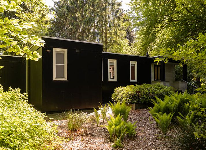 Natuurrijke omgeving bij Vakantiehuis in Een, Noord Drenthe, met prachtig meer.
