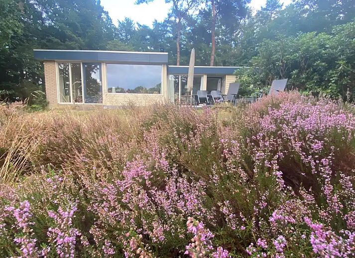 Guest house 180221 - Bungalow Noord Drenthe - Vakantiehuisje Kikker