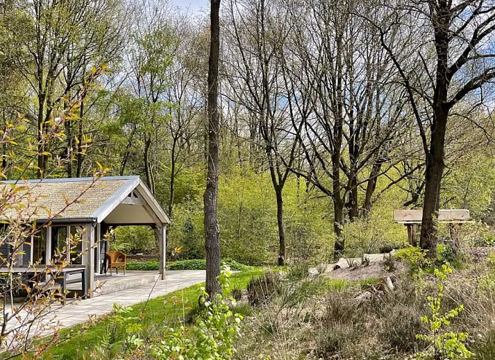 Unterkunft 180224 - Chalet Noord Drenthe - Bosuil 4 Luxe