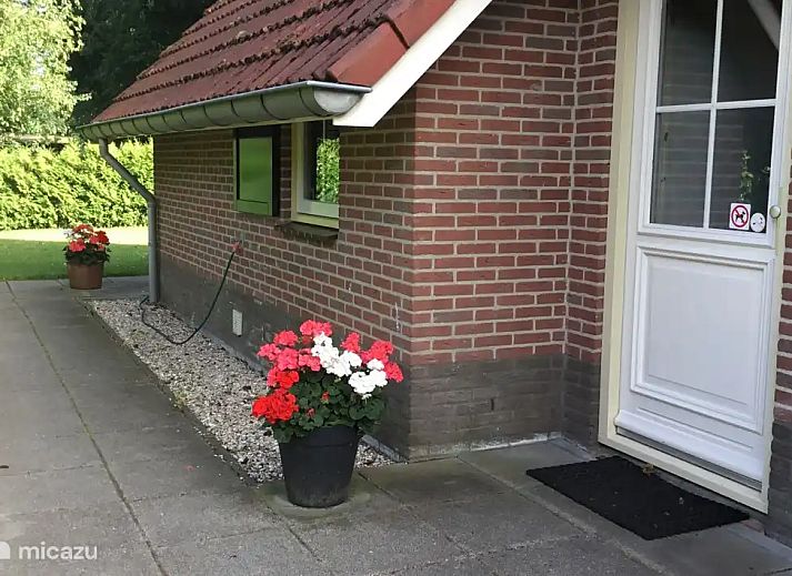 Guest house 180225 - Holiday property Noord Drenthe - Zanglijster 17