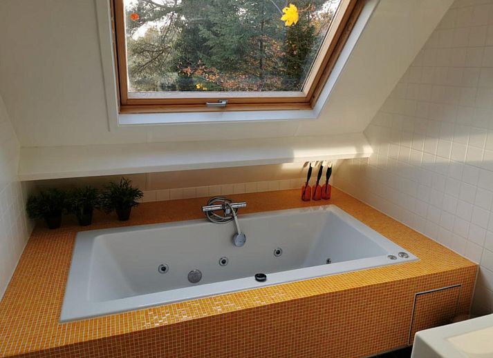 Guest house 180229 - Holiday property Noord Drenthe - HasseBassie