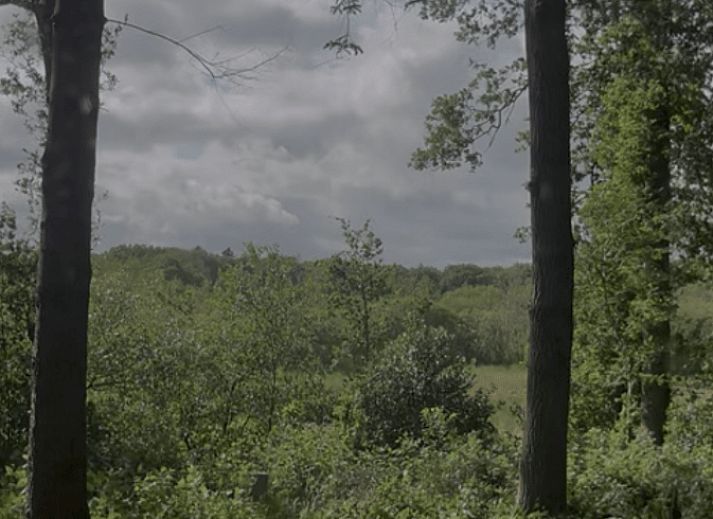 Verblijf 180507 - Vakantiewoning Noord Drenthe - Vakantiehuis in Zuidlaren