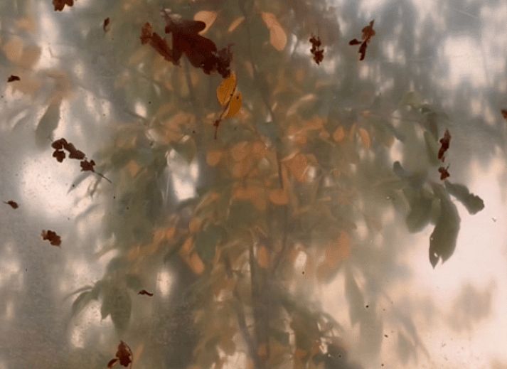 Verblijf 180507 - Vakantiewoning Noord Drenthe - Vakantiehuis in Zuidlaren