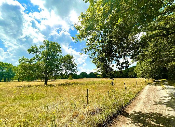 Gemuetliches Schlafzimmer im Ferienhaus DG1464, Zuidlaren, Drenthe, mit Blick auf die Natur.