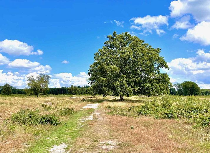 Moderne Kueche im Ferienhaus DG1464, Zuidlaren, Drenthe, komplett mit Essecke.
