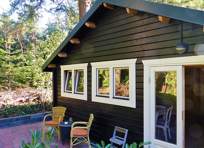 Huisje in Eext, vakantiehuis in Noord Drenthe omringd door bloeiende natuur.