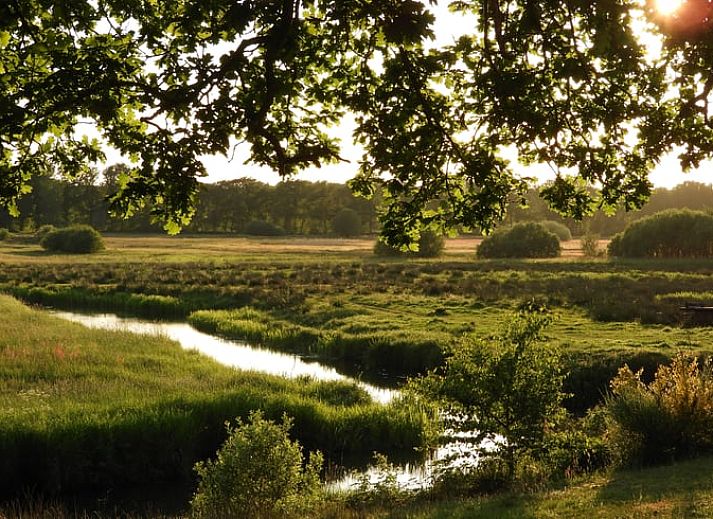 Comfortabele zithoek in Huisje in Eext, vakantiehuis in Noord Drenthe.