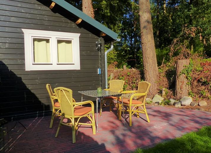 Terras van Huisje in Eext, vakantiehuis in Noord Drenthe met uitzicht op het bos.