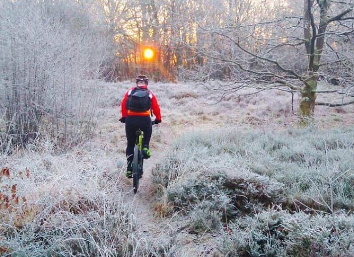 Terras van Huisje in Eext, vakantiehuis in Noord Drenthe met uitzicht op het bos.