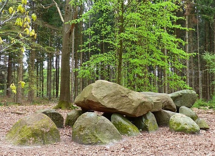 Ruime binnenruimte van Huisje in Eext, vakantiehuis in Noord Drenthe.