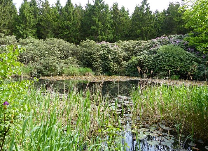 Ruime binnenruimte van Huisje in Eext, vakantiehuis in Noord Drenthe.