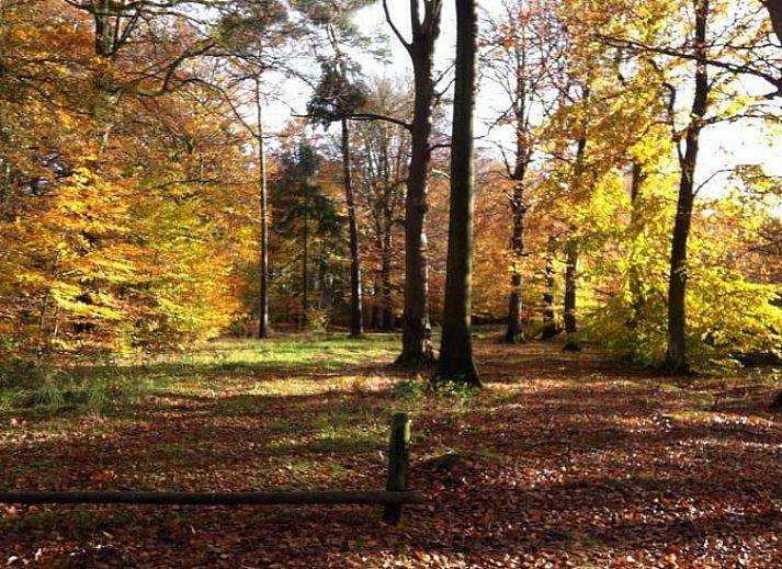 Groene omgeving bij Huisje in Eext, vakantiehuis in Noord Drenthe.
