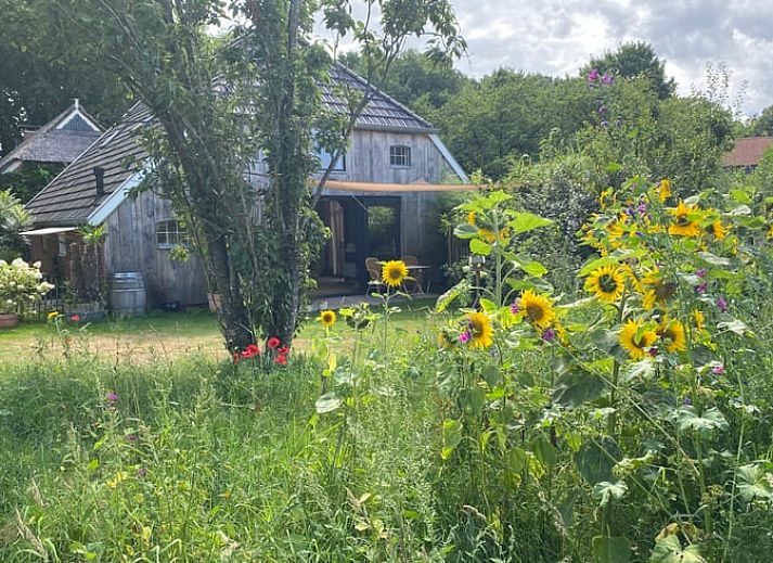 Ferienhaus in Eext, Nord-Drenthe mit charmanter Holzfassade und gruenem Garten.