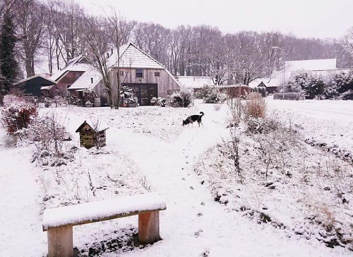 Ferienhaus in Eext, Nord-Drenthe mit charmanter Holzfassade und gruenem Garten.