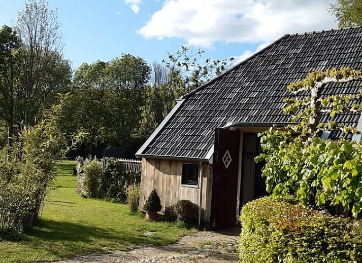 Bluehender Garten im Ferienhaus in Eext, Nord-Drenthe, ein ruhiges Ferienhaus.