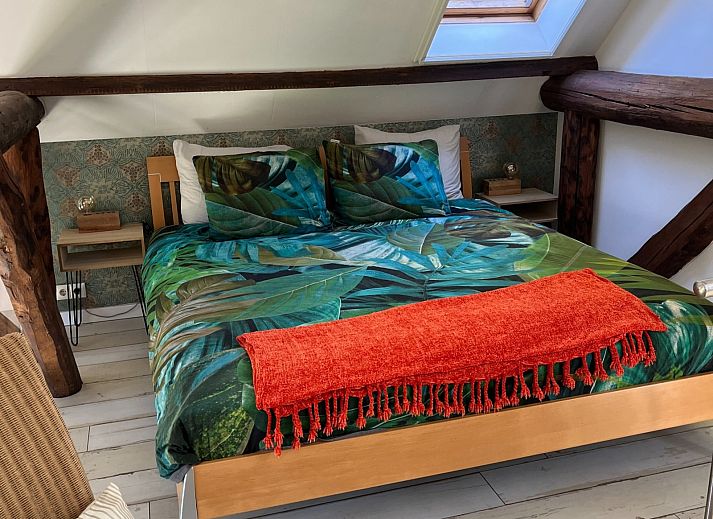 Guest house 180615 - Holiday property Noord Drenthe - DG2170