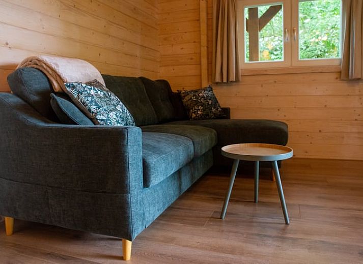 Huisje in Eext, vakantiehuis omgeven door weelderige natuur in Noord Drenthe, Drenthe.