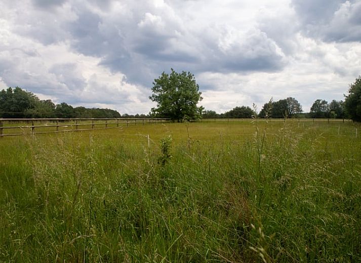 Charmante houten zij-ingang van Huisje in Eext, vakantieverblijf in Noord Drenthe, Drenthe.