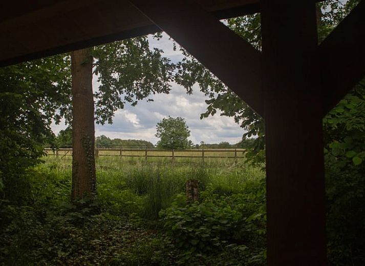 Gezellige eetruimte in Huisje in Eext, vakantiehuis in Eext, Noord Drenthe met warme houten inrichting.