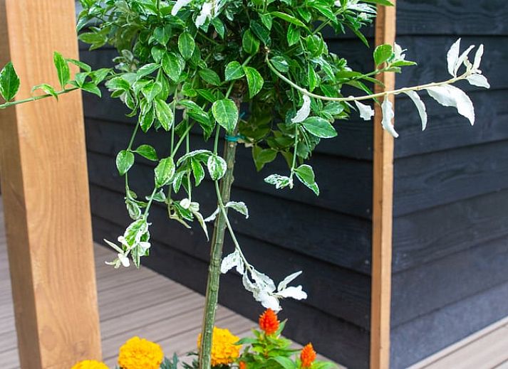 Gezellige eetruimte in Huisje in Eext, vakantiehuis in Eext, Noord Drenthe met warme houten inrichting.