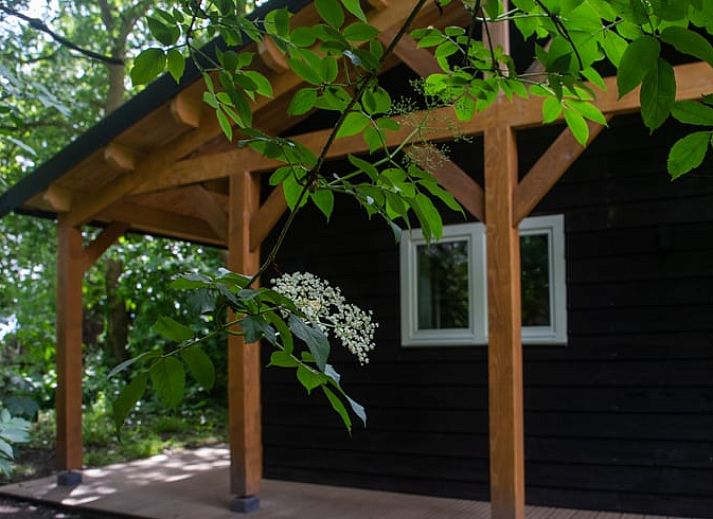 Gezellige eetruimte in Huisje in Eext, vakantiehuis in Eext, Noord Drenthe met warme houten inrichting.