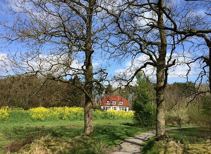 Unterkunft 180804 - Ferienhaus Noord Drenthe - Vakantiehuis in Roden