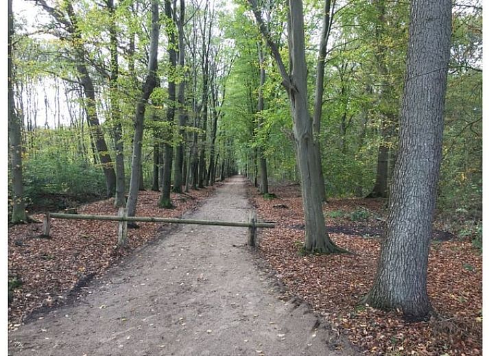 Unterkunft 180804 - Ferienhaus Noord Drenthe - Vakantiehuis in Roden