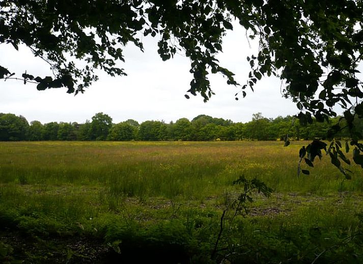 Unterkunft 180804 - Ferienhaus Noord Drenthe - Vakantiehuis in Roden