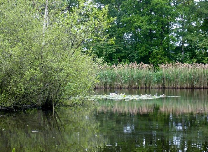 Unterkunft 180804 - Ferienhaus Noord Drenthe - Vakantiehuis in Roden