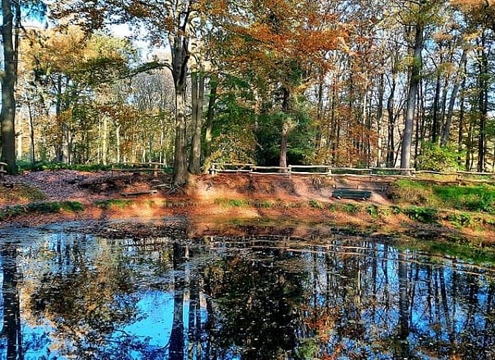 Unterkunft 180804 - Ferienhaus Noord Drenthe - Vakantiehuis in Roden