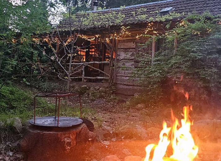 Gezellige veranda van Huisje in Norg, vakantiehuis in Norg, Noord Drenthe, omgeven door weelderige natuur.