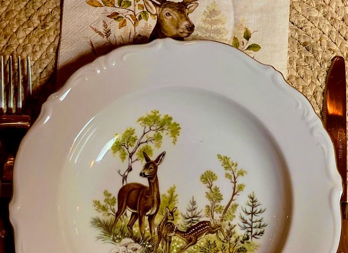 Charmant vakantiehuis Huisje in Norg, gelegen in het bosrijke Norg, Noord Drenthe, met sfeervolle verlichting.