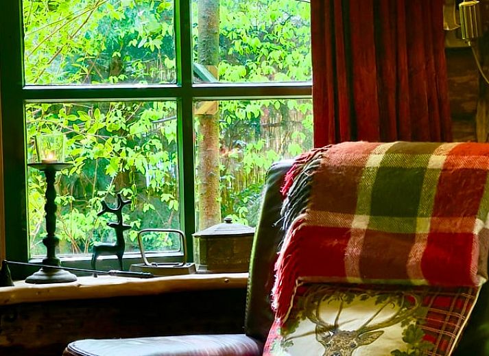 Knus terras van Huisje in Norg, vakantieaccommodatie in Norg, Noord Drenthe, met rustieke decoratie.