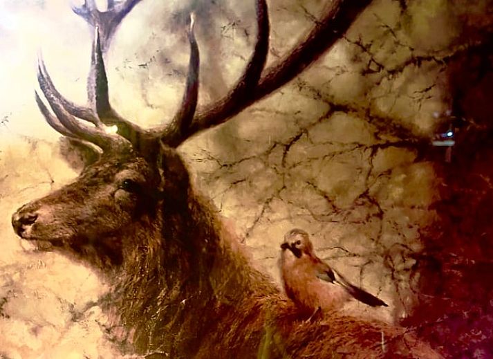 Knus terras van Huisje in Norg, vakantieaccommodatie in Norg, Noord Drenthe, met rustieke decoratie.